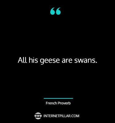 powerful-swan-quotes-sayings