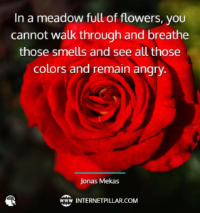 43 Smell the Roses Quotes to Enjoy Life and Feel Happy - Internet Pillar