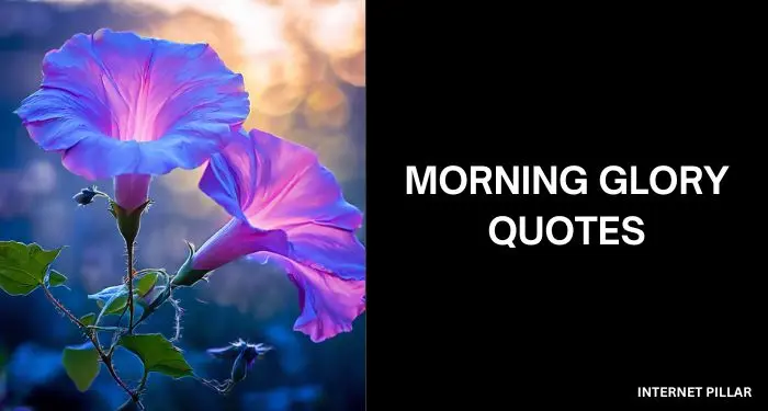 35 Morning Glory Quotes to Welcome a New Day