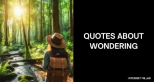 Quotes-About-Wondering